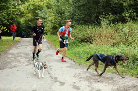 Zawodnicy na trasie biegu